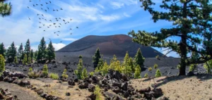 Sendero circular hasta el Volcan Arenas Negras del Chinyero en Tenerife Transporte y Excursion Guiada
