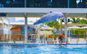 Aqualand Tenerife