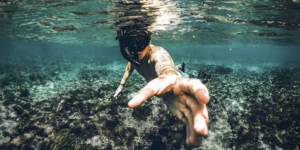 Excursiones con snorkel en Tenerife