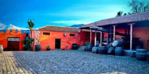 La Ruta del vino Una Excursion con Cata de Vinos y degustacion de tapas en Tenerife