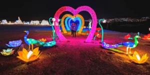 Parque de las Luces Chinas en Adeje Tenerife