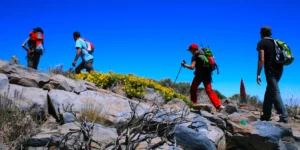 Que lugares ver y visitar en Tenerife en 6 dias