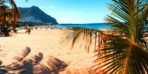 cosas que hacer en verano en Tenerife Actividades para julio agosto y septiembre