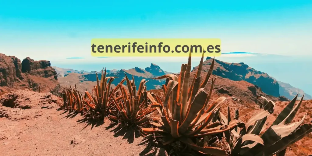 lugares que ver y visitar en el Sur de Tenerife