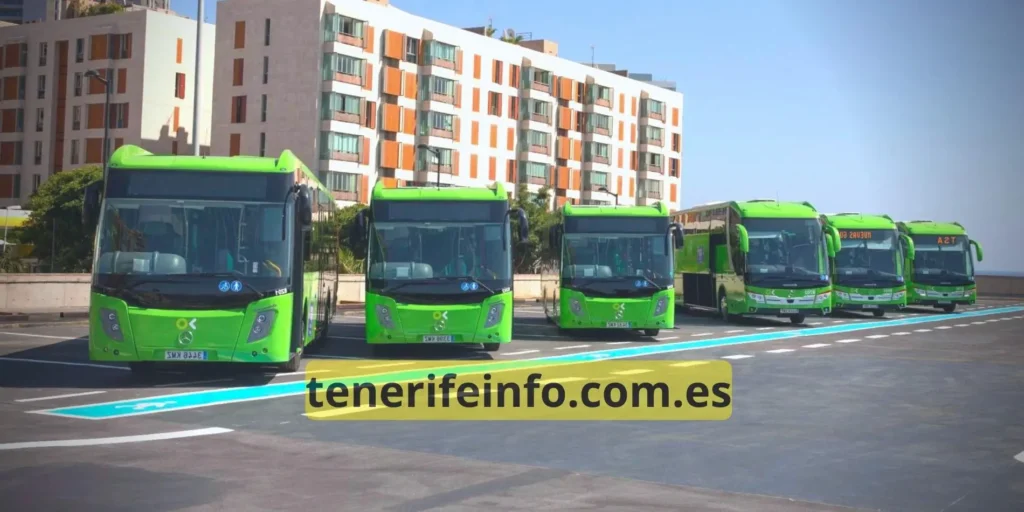 visitar tenerife que hacer sin coche en guagua autobus titsa