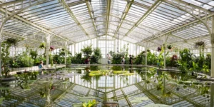 Palmetum de Santa Cruz de Tenerife entradas y precios