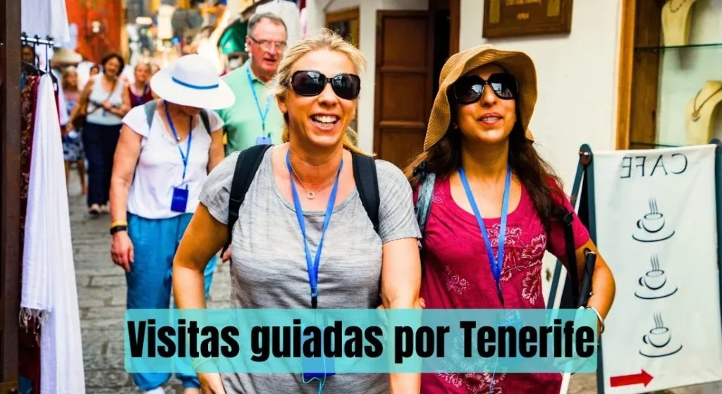Visitas guiadas gratis en Tenerife Sur