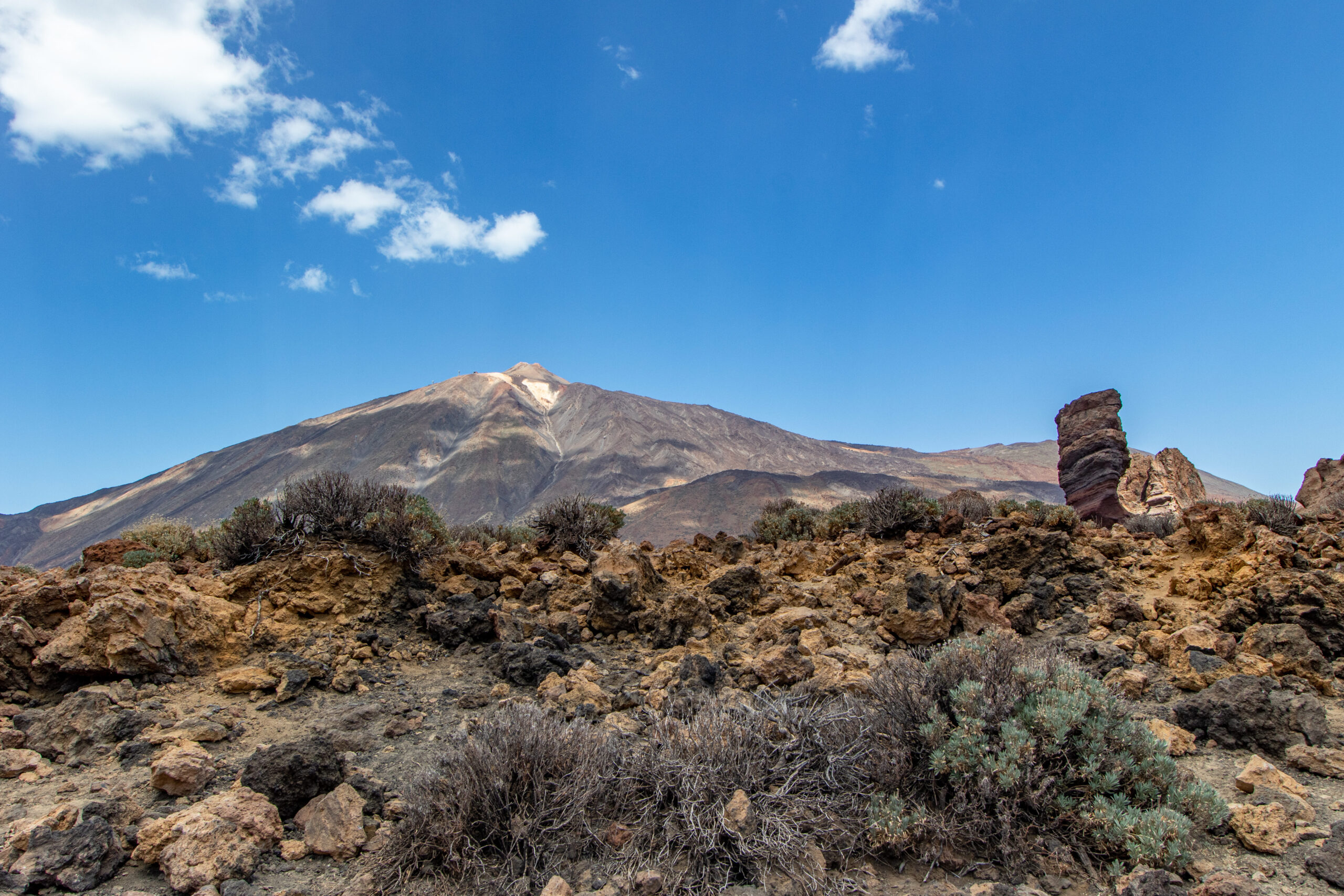 chiringuitos en el norte de tenerife