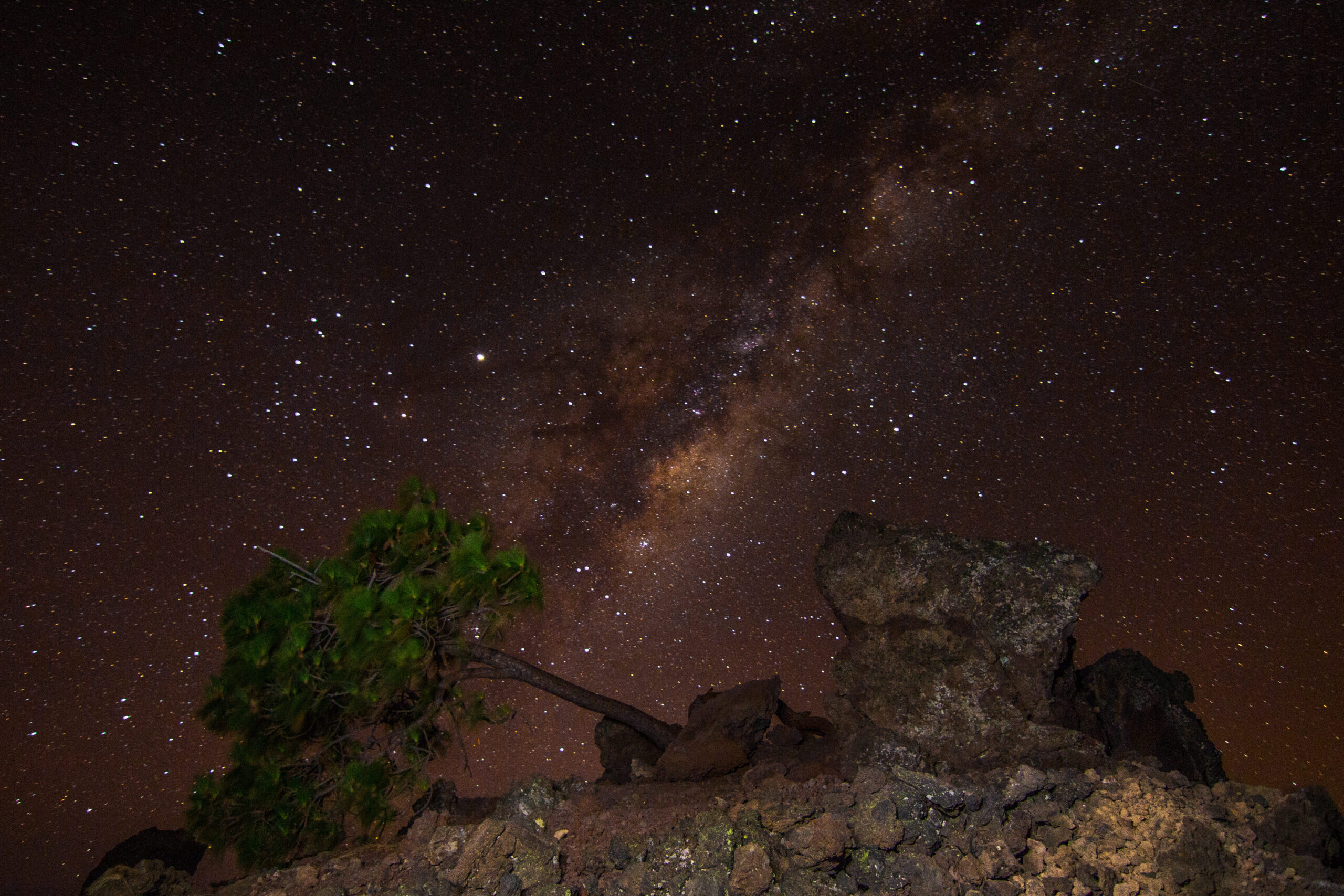 daypass en tenerife sur