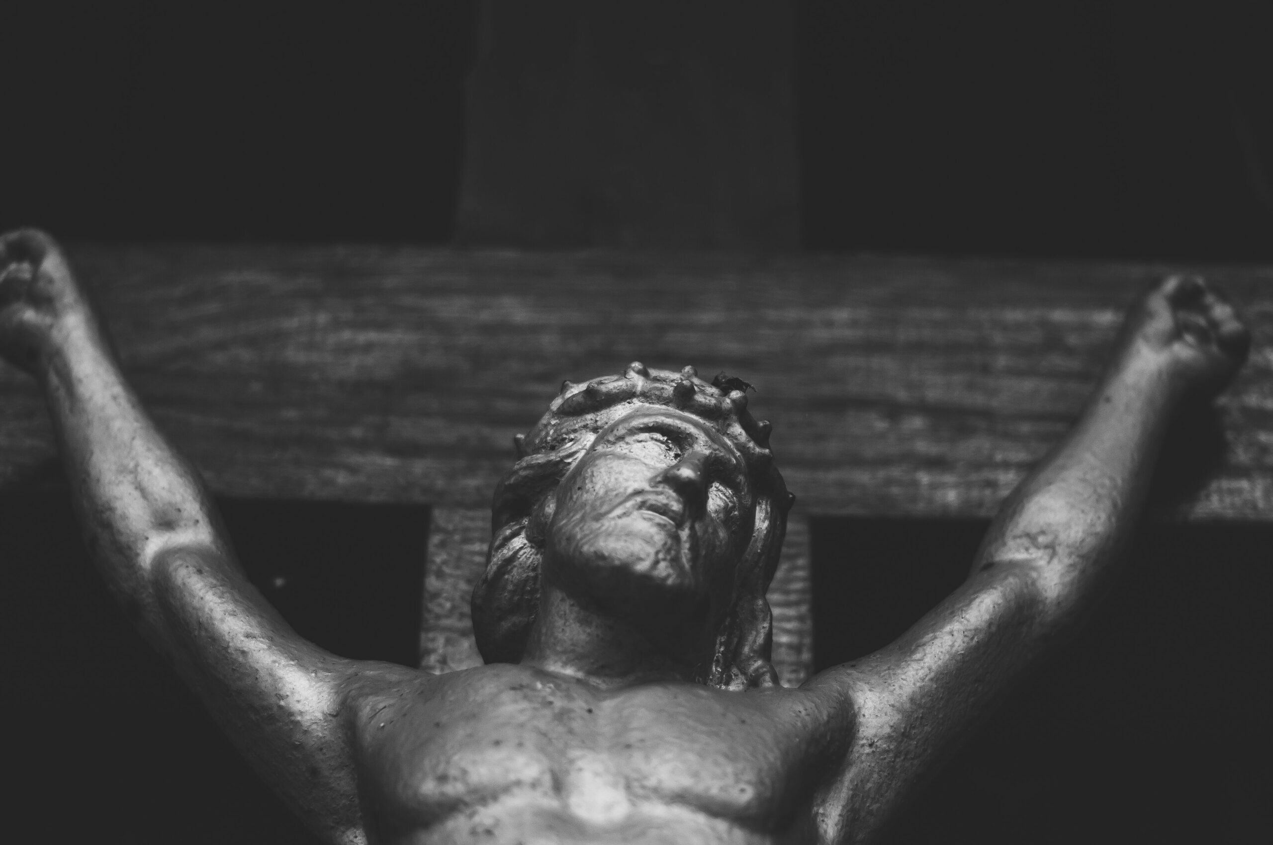 donde salir en santa cruz de tenerife