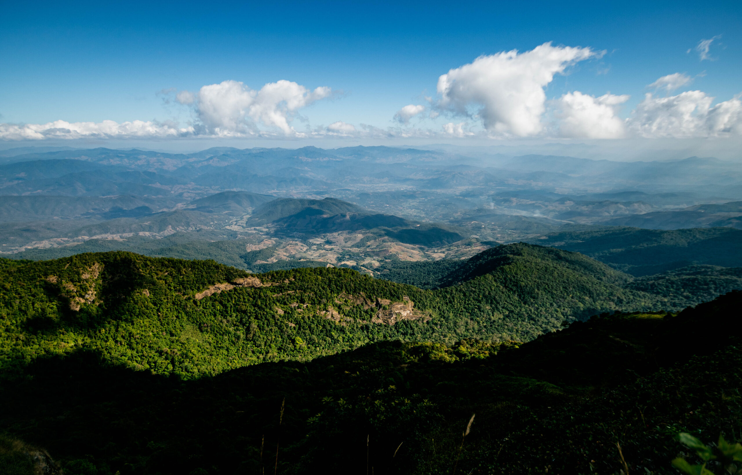 el bosque encantado de tenerife
