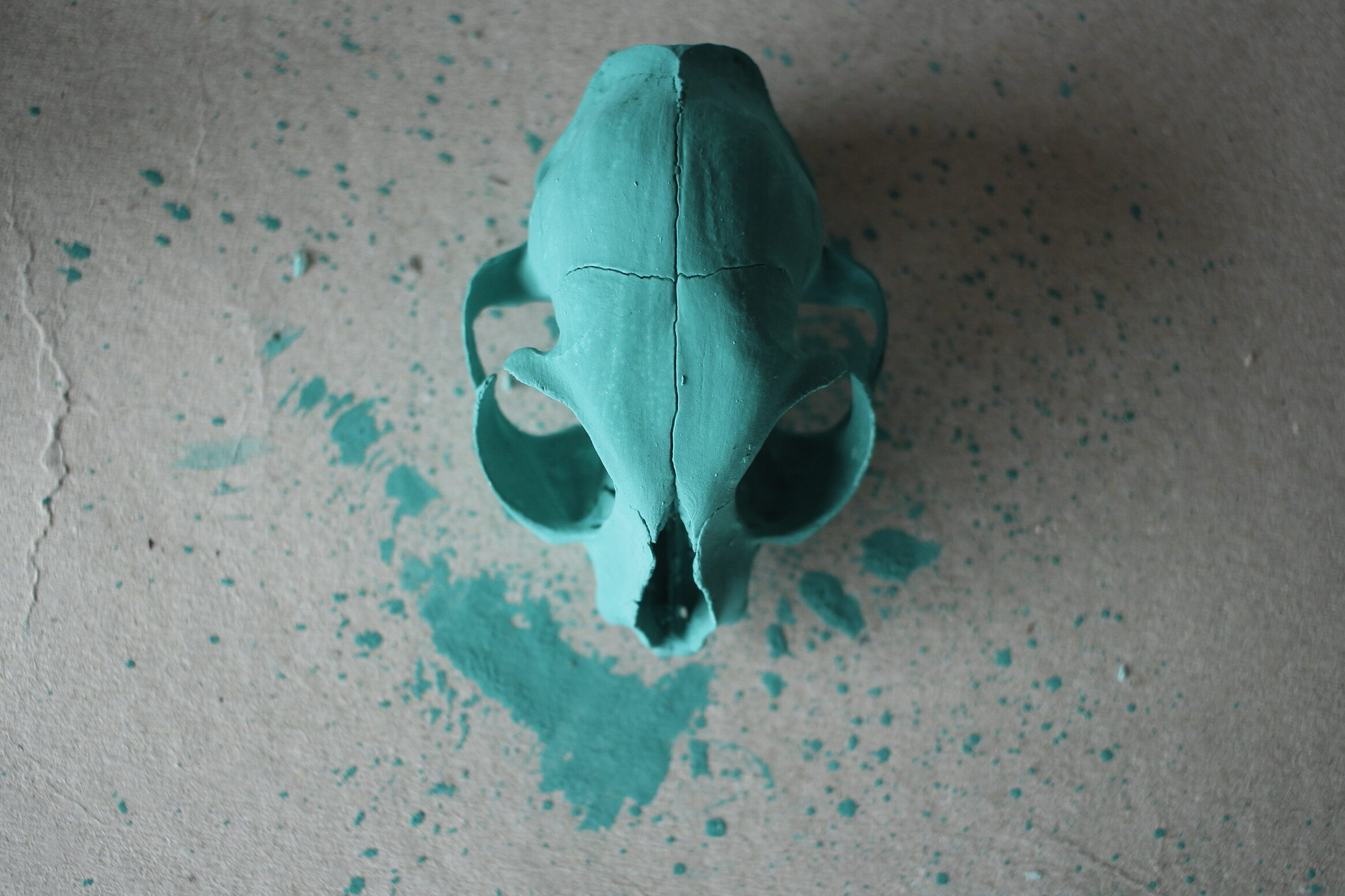 el charco verde en tenerife