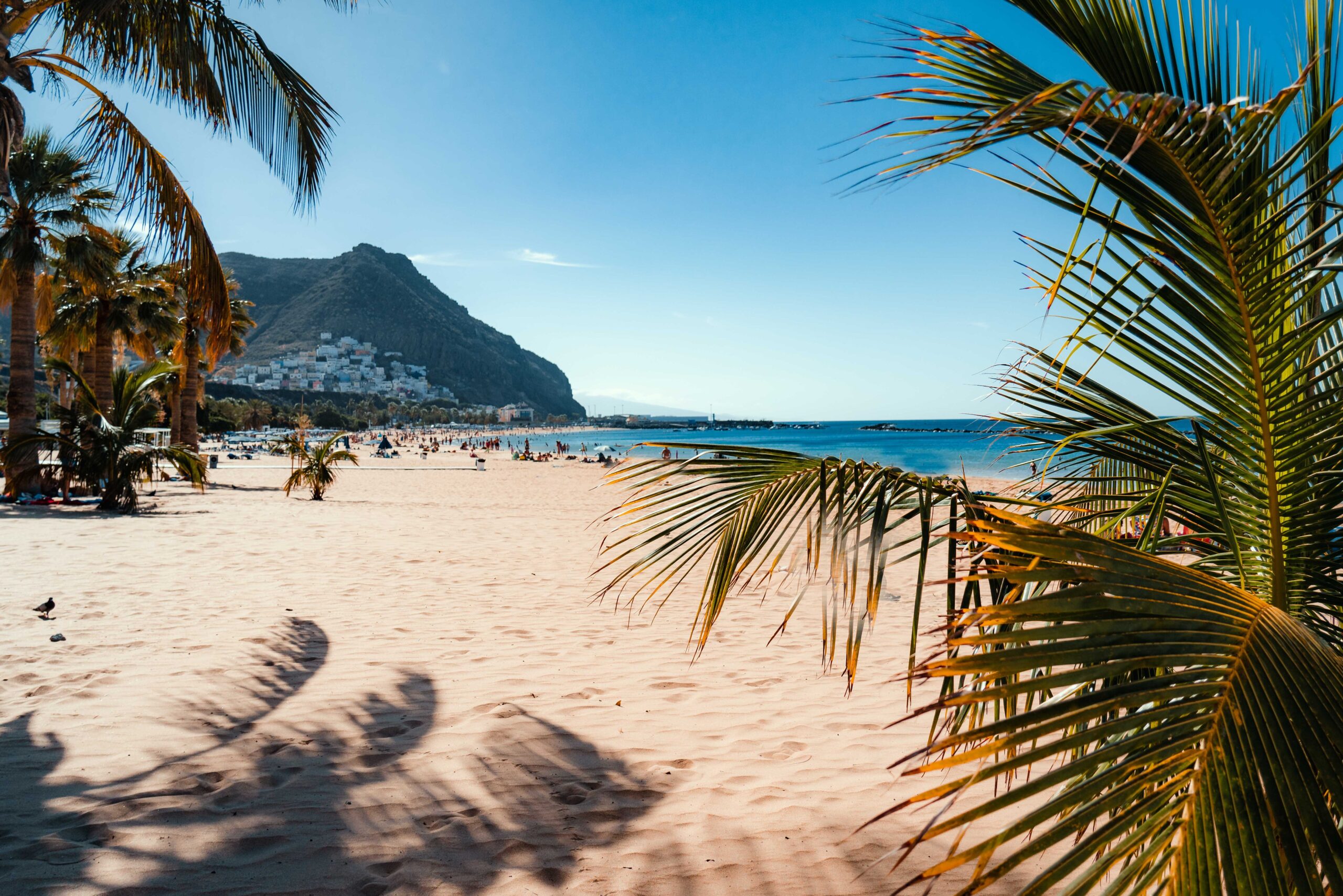 el consulado cubano en tenerife
