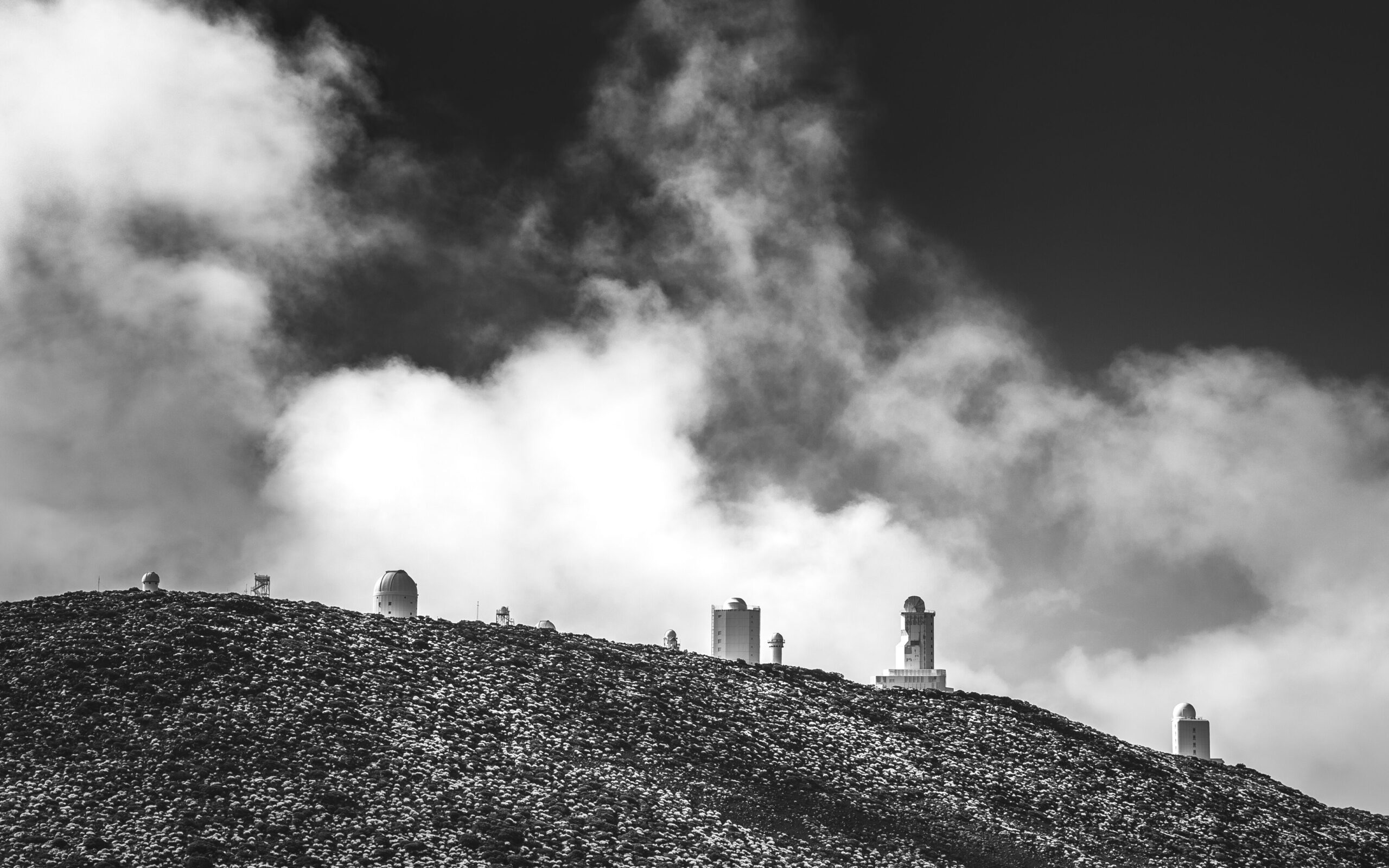 fred olsen de tenerife a fuerteventura