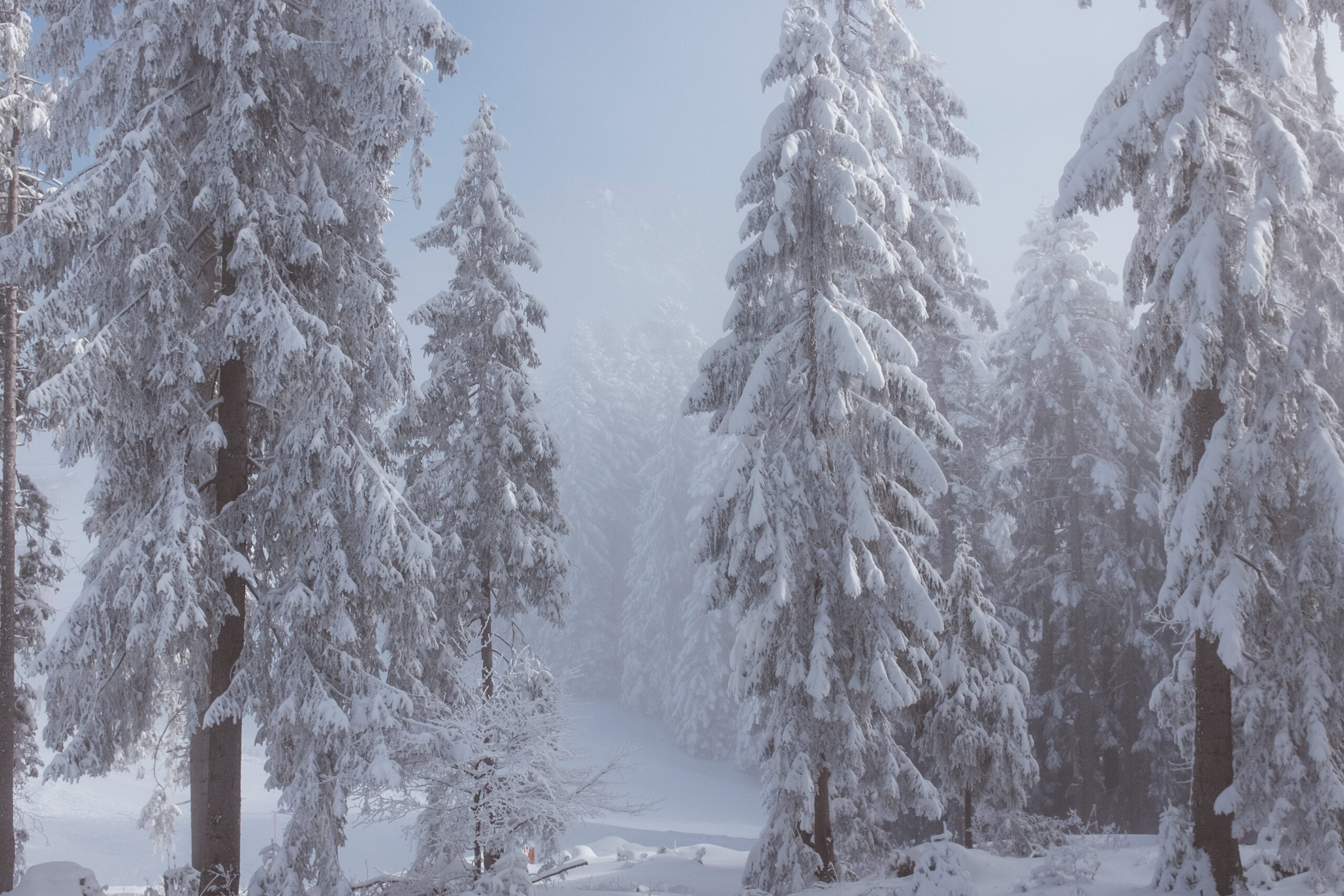 los 5 mejores guachinches del norte de tenerife