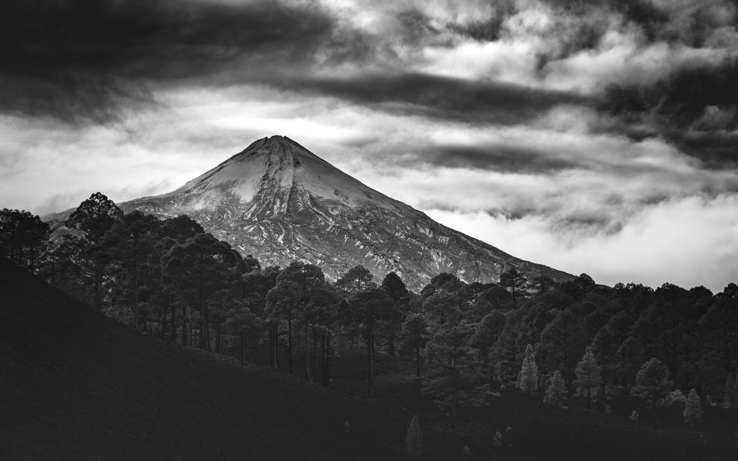 los mejores otorrinos en tenerife