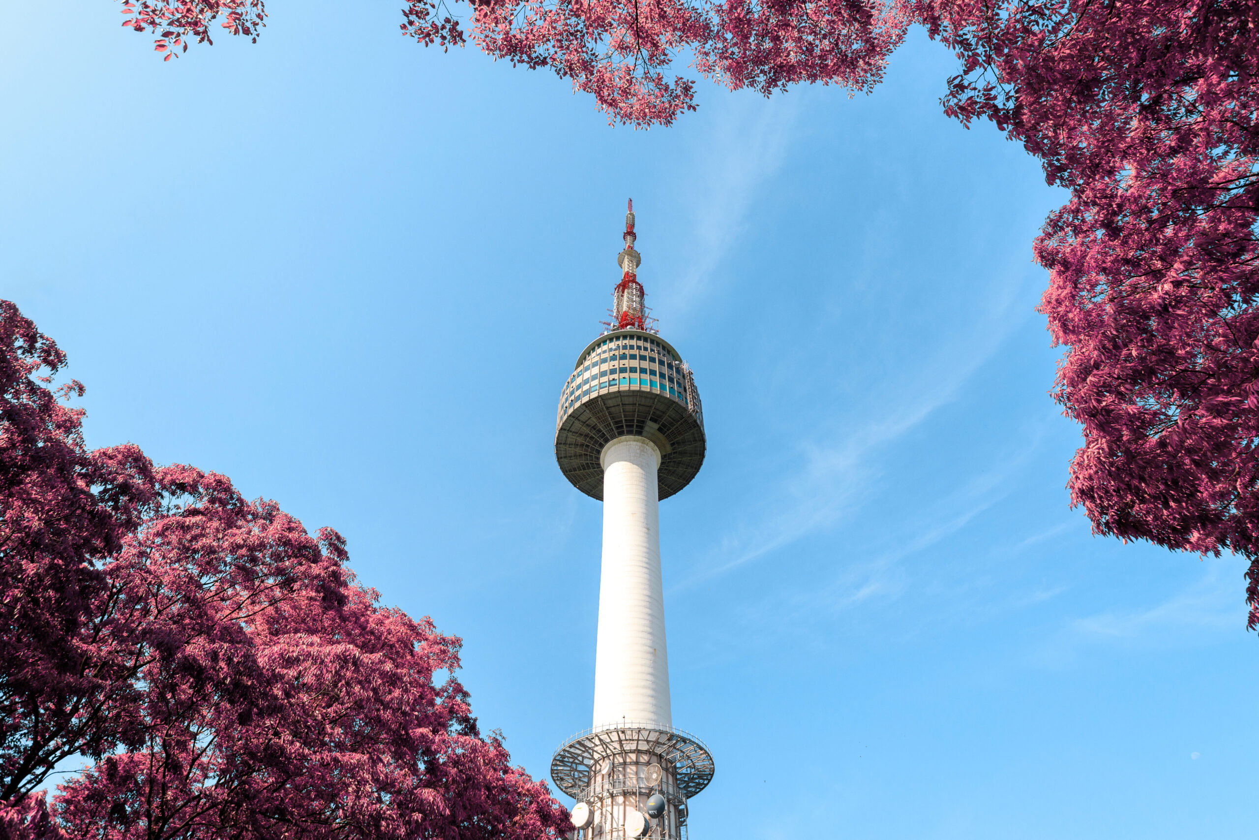 mercadillos en el sur de tenerife