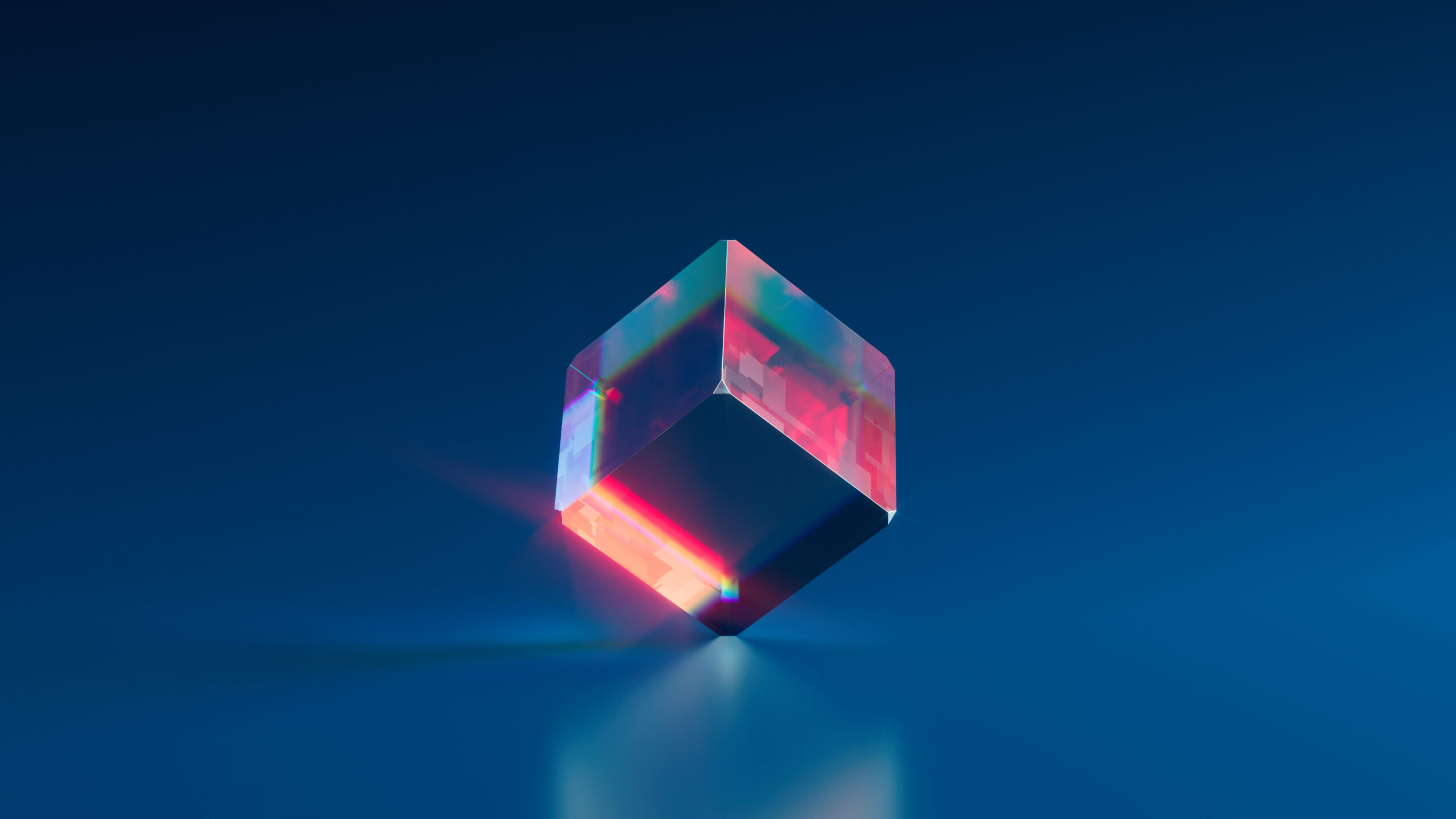 que hacer en el sur de tenerife de noche