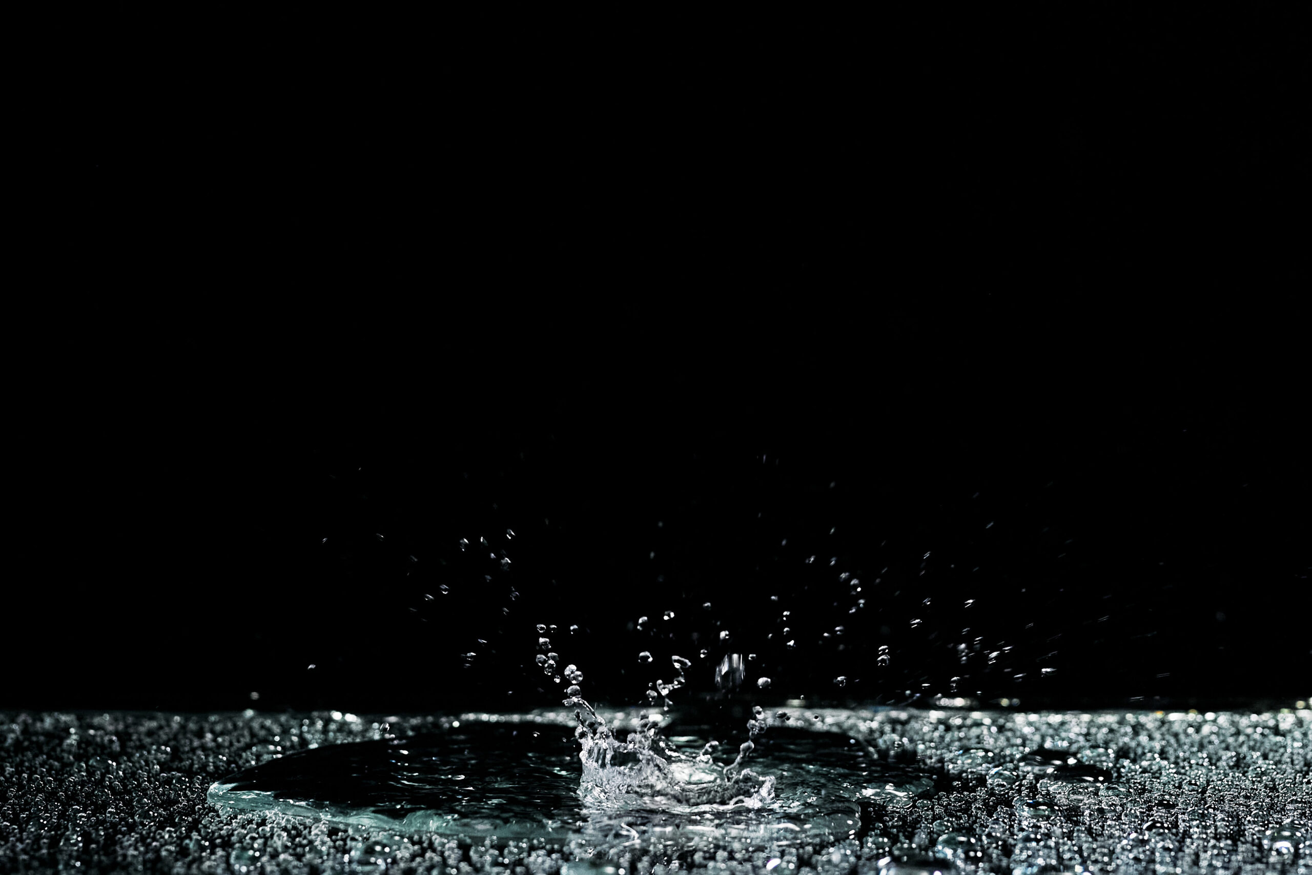 que hacer en el sur de tenerife