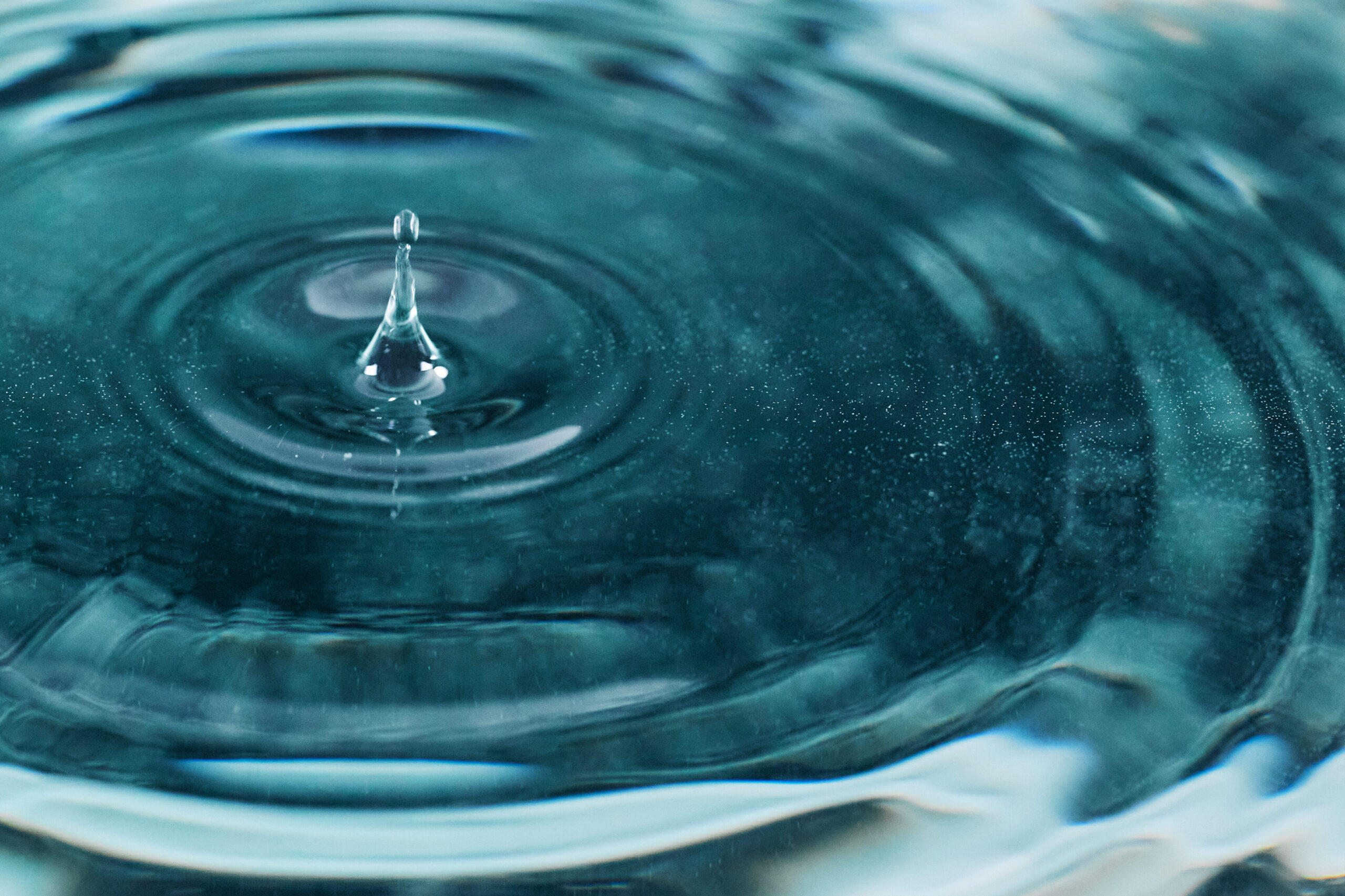 que hacer en tenerife sur gratis