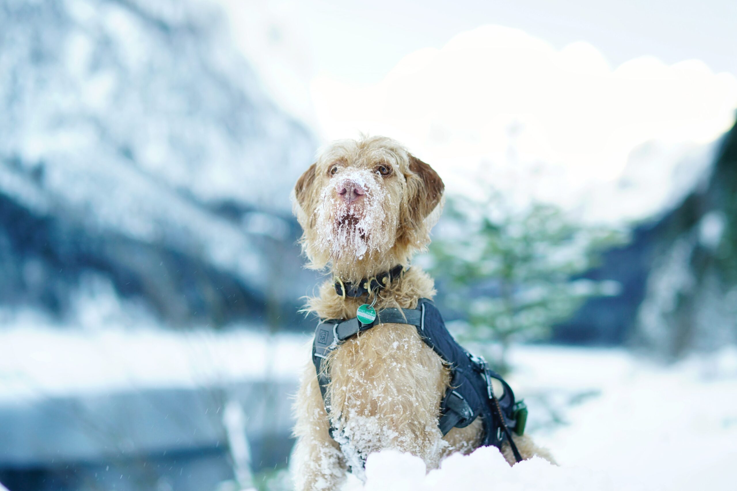 viaje a la graciosa desde tenerife